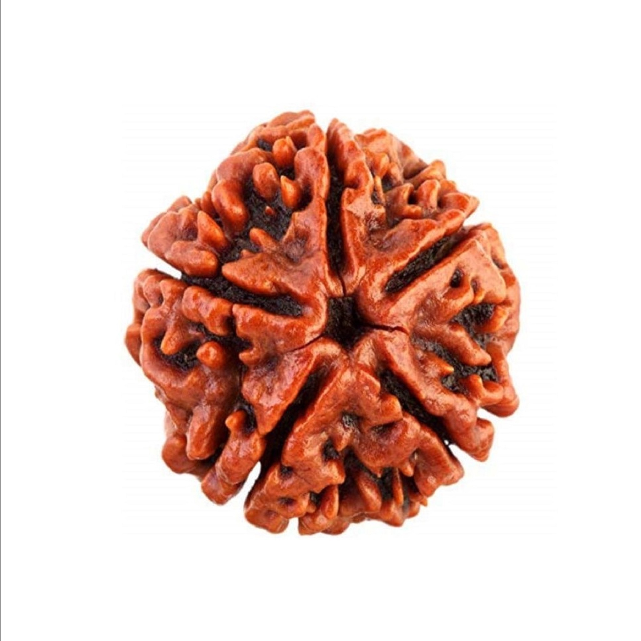 Hiraola's Product Image