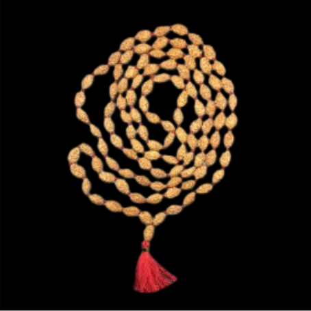 Natural Rudraksha