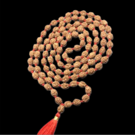 Natural Rudraksha