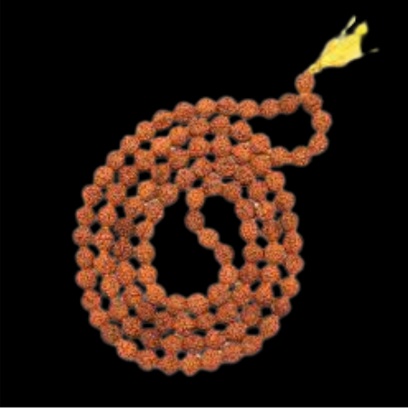 Natural Rudraksha