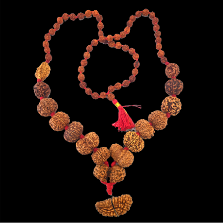 Natural Rudraksha