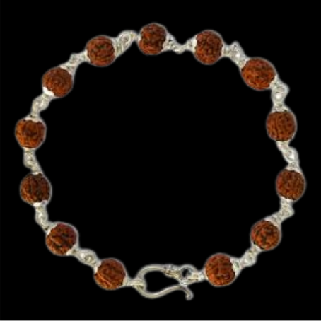 Natural Rudraksha