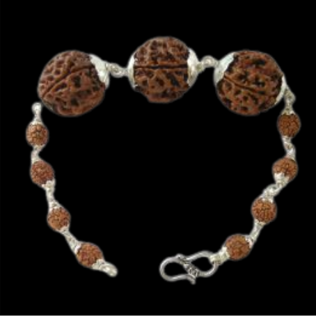Natural Rudraksha