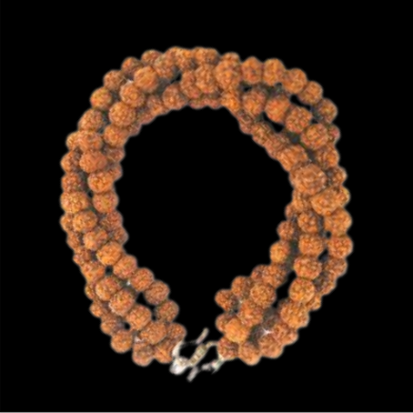 Natural Rudraksha
