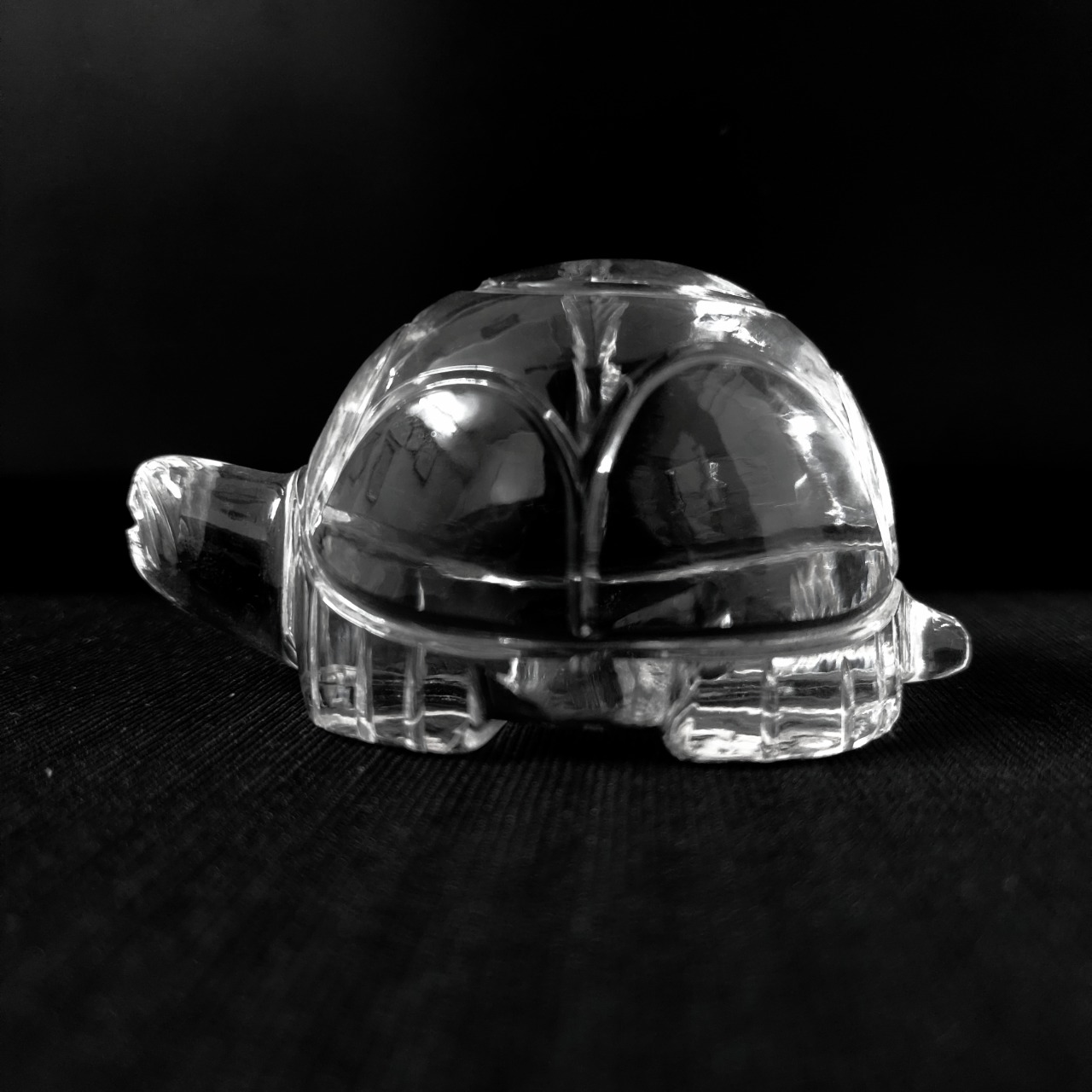 Hiraola's Product Image